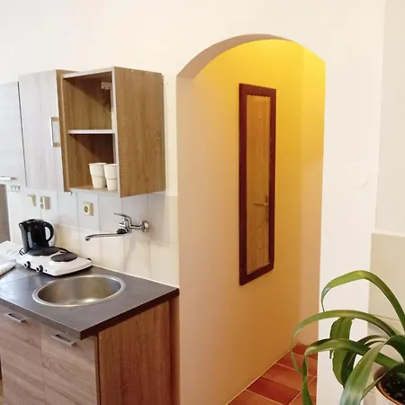 Apartments Alena - Karlovy Vary Room photo