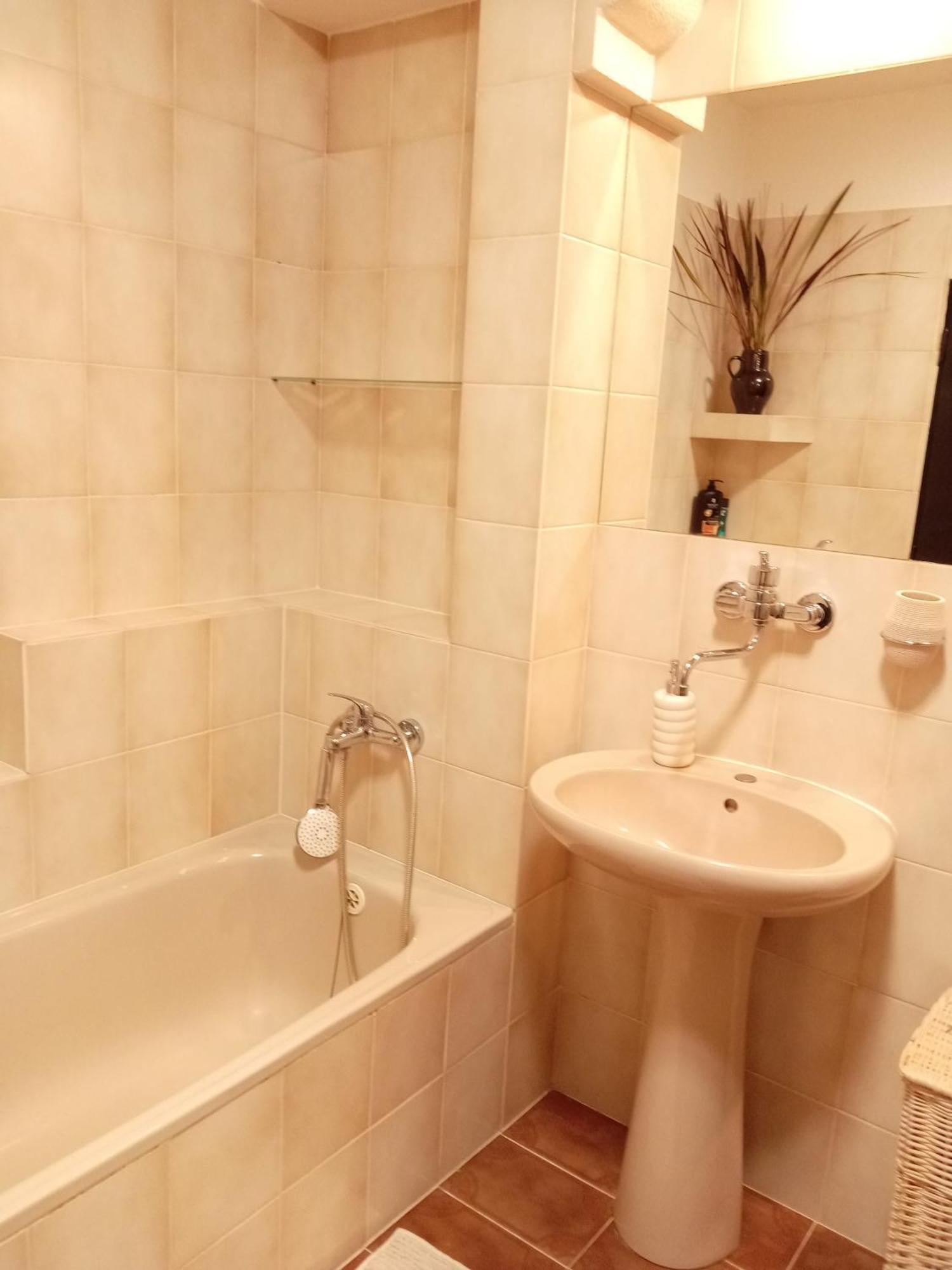 Alena - Apartment Karlovy Vary